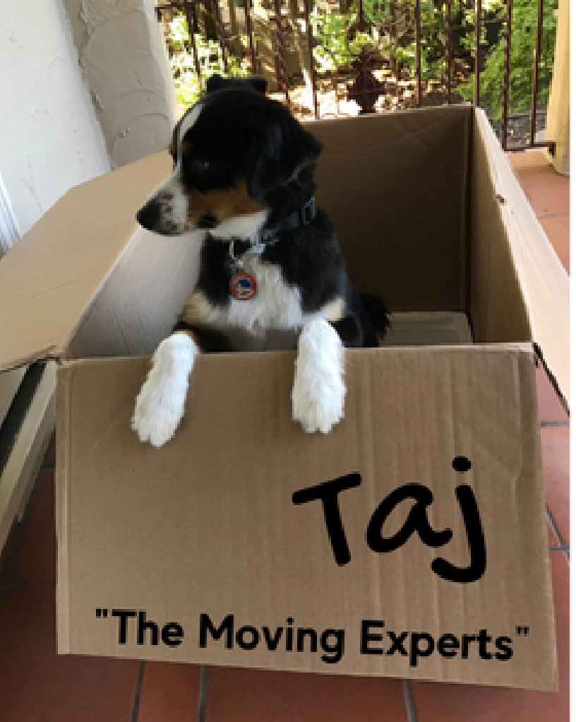 Taj Moving Experts@2x